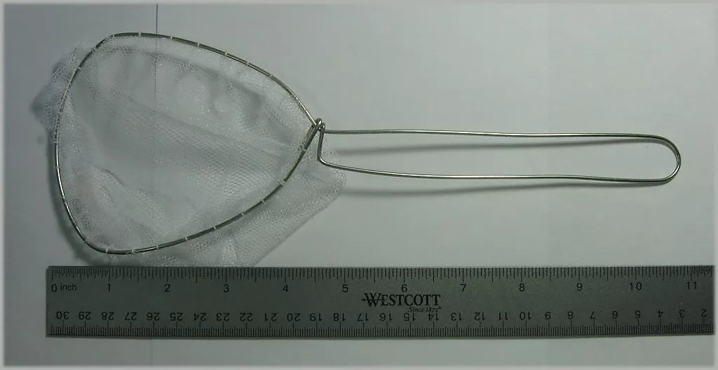 Minnow Dip Net - Regular