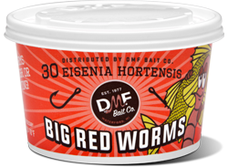 DMF Bait Live Red Worms