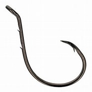 Eagle Claw Lazer Sharp Non-Offset Baitholder Circle Hook