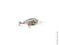 Jenko Crappie Crank