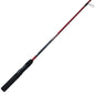 Zebco ZCAST Rod