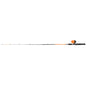 HT Blaze Pro DX Spincast Combo