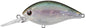 Evergreen CR-8 Crankbait