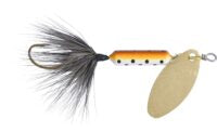 Rooster Tail
