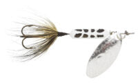 Rooster Tail