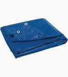 Tarp